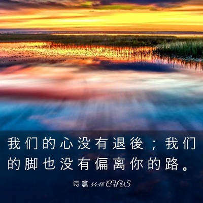 Picture 03 - 诗 篇 44:18 CUVS - 我 们 的 心 没 有 退 後 ； 我 们 的 - Bible Verse Picture
