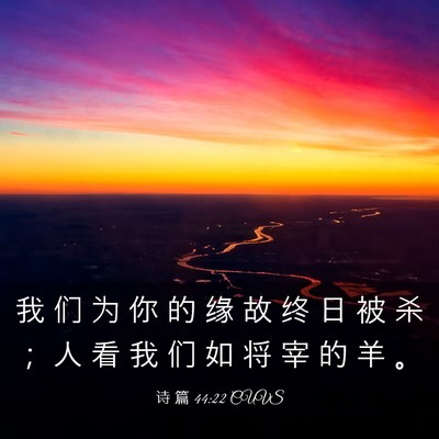 Picture 03 - 诗 篇 44:22 CUVS - 我 们 为 你 的 缘 故 终 日 被 杀 ； - Bible Verse Picture