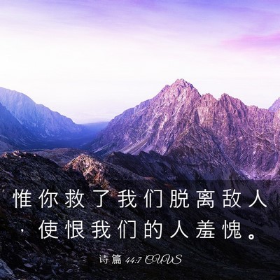Picture 03 - 诗 篇 44:7 CUVS - 惟 你 救 了 我 们 脱 离 敌 人 ， 使 - Bible Verse Picture