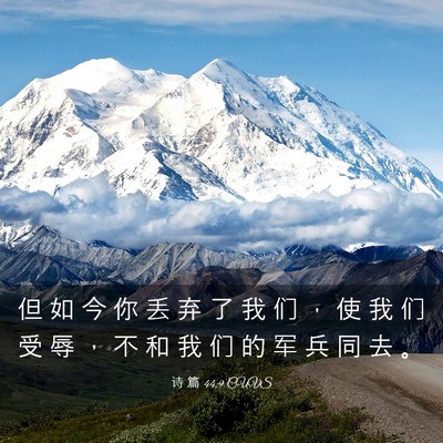 Picture 03 - 诗 篇 44:9 CUVS - 但 如 今 你 丢 弃 了 我 们 ， 使 我 - Bible Verse Picture