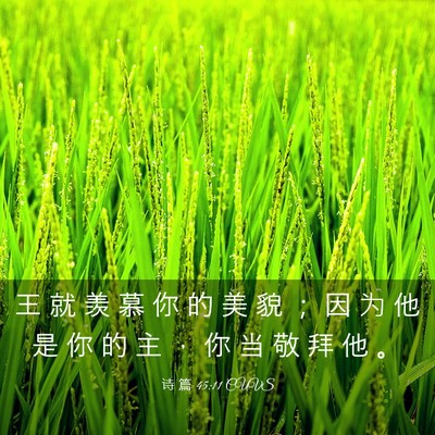 Picture 03 - 诗 篇 45:11 CUVS - 王 就 羡 慕 你 的 美 貌 ； 因 为 他 - Bible Verse Picture