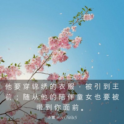 Picture 03 - 诗 篇 45:14 CUVS - 他 要 穿 锦 绣 的 衣 服 ， 被 引 到 - Bible Verse Picture