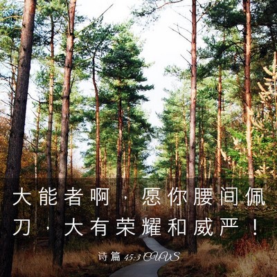 Picture 03 - 诗 篇 45:3 CUVS - 大 能 者 啊 ， 愿 你 腰 间 佩 刀 ， - Bible Verse Picture