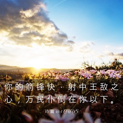 Picture 03 - 诗 篇 45:5 CUVS - 你 的 箭 锋 快 ， 射 中 王 敌 之 心 - Bible Verse Picture