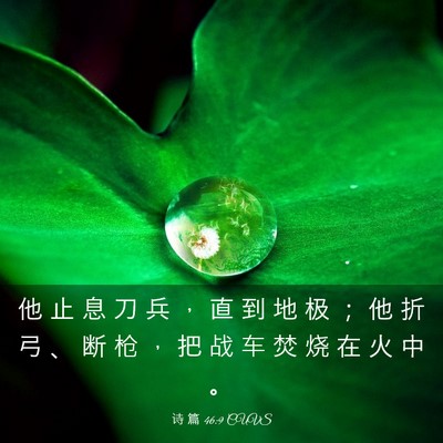 Picture 03 - 诗 篇 46:9 CUVS - 他 止 息 刀 兵 ， 直 到 地 极 ； 他 - Bible Verse Picture