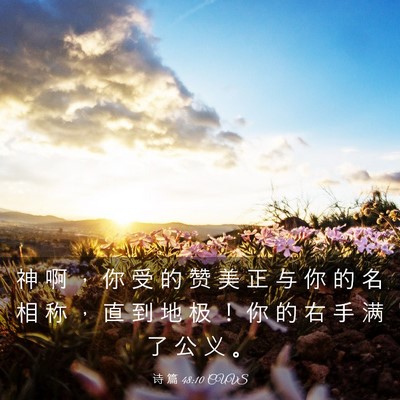 Picture 03 - 诗 篇 48:10 CUVS - 神 啊 ， 你 受 的 赞 美 正 与 你 的 - Bible Verse Picture