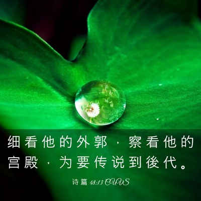 Picture 03 - 诗 篇 48:13 CUVS - 细 看 他 的 外 郭 ， 察 看 他 的 宫 - Bible Verse Picture