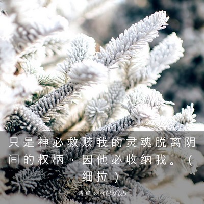 Picture 03 - 诗 篇 49:15 CUVS - 只 是 神 必 救 赎 我 的 灵 魂 脱 离 - Bible Verse Picture