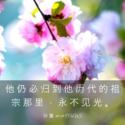 Picture 03 - 诗 篇 49:19 CUVS - 他 仍 必 归 到 他 历 代 的 祖 宗 那 - Bible Verse Picture