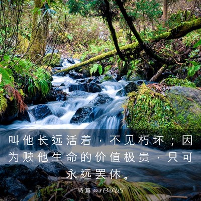 Picture 03 - 诗 篇 49:8 CUVS - 叫 他 长 远 活 着 ， 不 见 朽 坏 ； - Bible Verse Picture