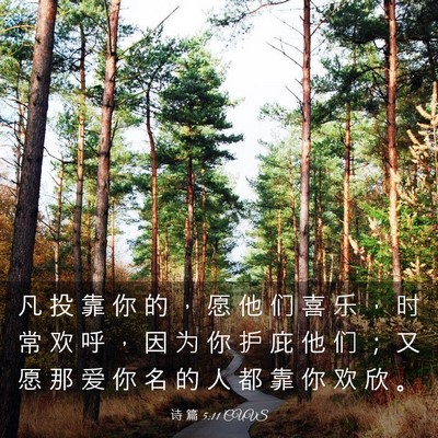 Picture 03 - 诗 篇 5:11 CUVS - 凡 投 靠 你 的 ， 愿 他 们 喜 乐 ， - Bible Verse Picture