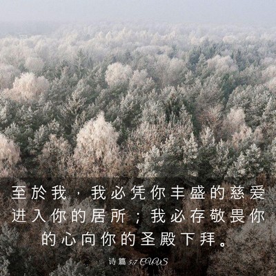 Picture 03 - 诗 篇 5:7 CUVS - 至 於 我 ， 我 必 凭 你 丰 盛 的 慈 - Bible Verse Picture