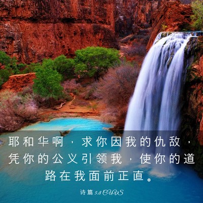 Picture 03 - 诗 篇 5:8 CUVS - 耶 和 华 啊 ， 求 你 因 我 的 仇 敌 - Bible Verse Picture