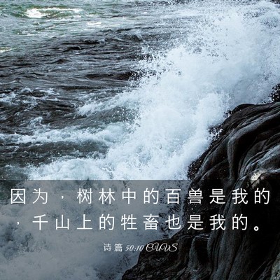 Picture 03 - 诗 篇 50:10 CUVS - 因 为 ， 树 林 中 的 百 兽 是 我 的 - Bible Verse Picture
