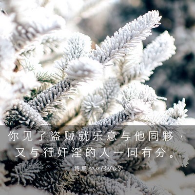 Picture 03 - 诗 篇 50:18 CUVS - 你 见 了 盗 贼 就 乐 意 与 他 同 夥 - Bible Verse Picture