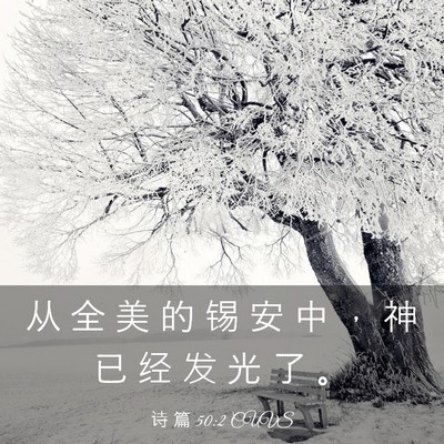 Picture 03 - 诗 篇 50:2 CUVS - 从 全 美 的 锡 安 中 ， 神 已 经 发 - Bible Verse Picture