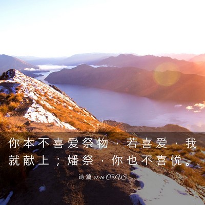 Picture 03 - 诗 篇 51:16 CUVS - 你 本 不 喜 爱 祭 物 ， 若 喜 爱 ， - Bible Verse Picture