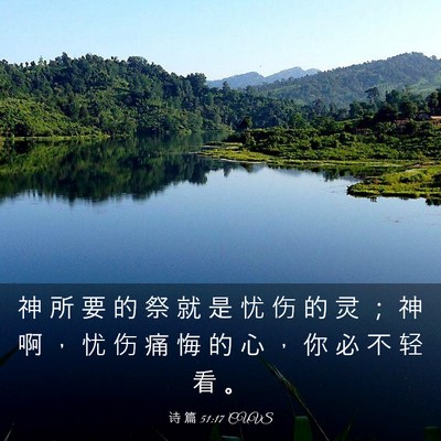 Picture 03 - 诗 篇 51:17 CUVS - 神 所 要 的 祭 就 是 忧 伤 的 灵 ； - Bible Verse Picture