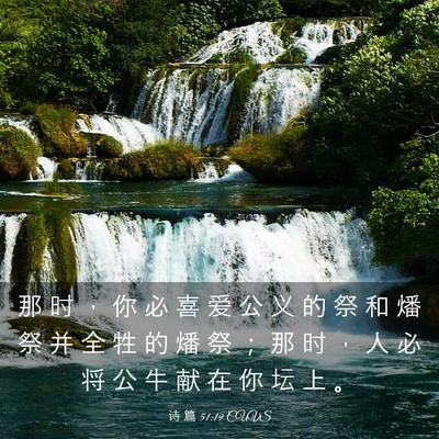 Picture 03 - 诗 篇 51:19 CUVS - 那 时 ， 你 必 喜 爱 公 义 的 祭 和 - Bible Verse Picture