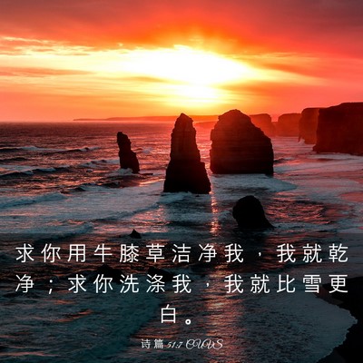 Picture 03 - 诗 篇 51:7 CUVS - 求 你 用 牛 膝 草 洁 净 我 ， 我 就 - Bible Verse Picture