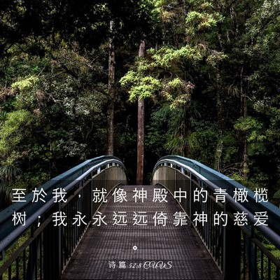 Picture 03 - 诗 篇 52:8 CUVS - 至 於 我 ， 就 像 神 殿 中 的 青 橄 - Bible Verse Picture