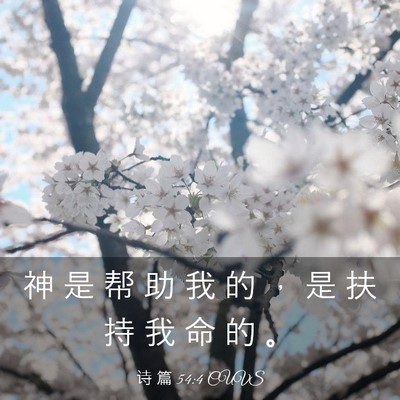 Picture 03 - 诗 篇 54:4 CUVS - 神 是 帮 助 我 的 ， 是 扶 持 我 命 - Bible Verse Picture