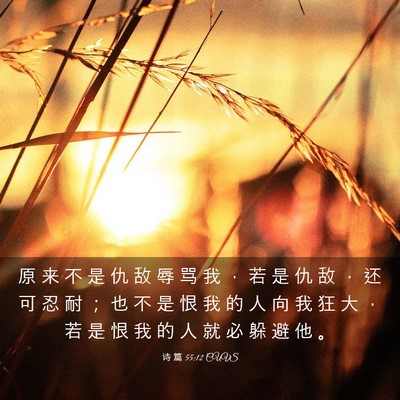 Picture 03 - 诗 篇 55:12 CUVS - 原 来 不 是 仇 敌 辱 骂 我 ， 若 是 - Bible Verse Picture