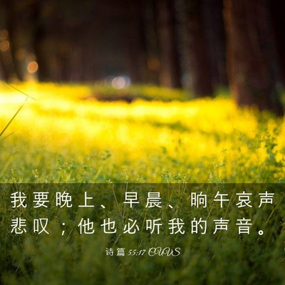 Picture 03 - 诗 篇 55:17 CUVS - 我 要 晚 上 、 早 晨 、 晌 午 哀 声 - Bible Verse Picture
