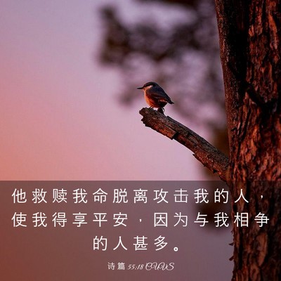 Picture 03 - 诗 篇 55:18 CUVS - 他 救 赎 我 命 脱 离 攻 击 我 的 人 - Bible Verse Picture