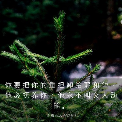 Picture 03 - 诗 篇 55:22 CUVS - 你 要 把 你 的 重 担 卸 给 耶 和 华 - Bible Verse Picture