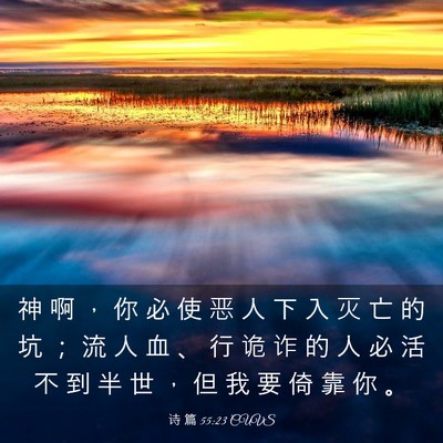 Picture 03 - 诗 篇 55:23 CUVS - 神 啊 ， 你 必 使 恶 人 下 入 灭 亡 - Bible Verse Picture