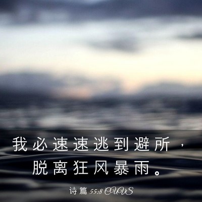 Picture 03 - 诗 篇 55:8 CUVS - 我 必 速 速 逃 到 避 所 ， 脱 离 狂 - Bible Verse Picture