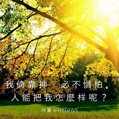 Picture 03 - 诗 篇 56:11 CUVS - 我 倚 靠 神 ， 必 不 惧 怕 。 人 能 - Bible Verse Picture
