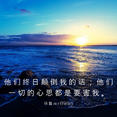 Picture 03 - 诗 篇 56:5 CUVS - 他 们 终 日 颠 倒 我 的 话 ； 他 们 - Bible Verse Picture