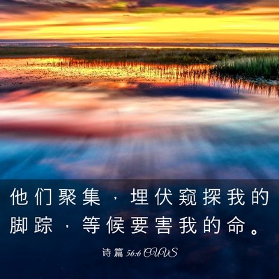 Picture 03 - 诗 篇 56:6 CUVS - 他 们 聚 集 ， 埋 伏 窥 探 我 的 脚 - Bible Verse Picture