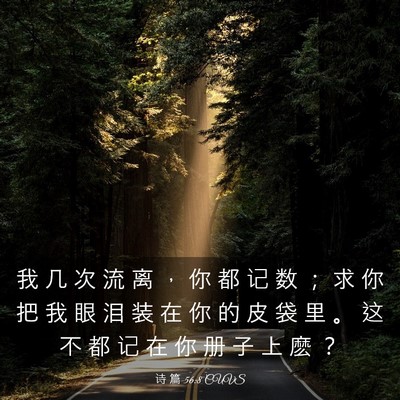 Picture 03 - 诗 篇 56:8 CUVS - 我 几 次 流 离 ， 你 都 记 数 ； 求 - Bible Verse Picture