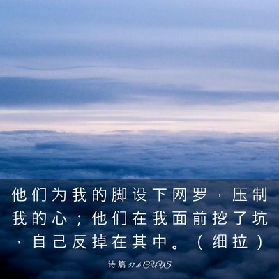 Picture 03 - 诗 篇 57:6 CUVS - 他 们 为 我 的 脚 设 下 网 罗 ， 压 - Bible Verse Picture