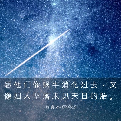 Picture 03 - 诗 篇 58:8 CUVS - 愿 他 们 像 蜗 牛 消 化 过 去 ， 又 - Bible Verse Picture