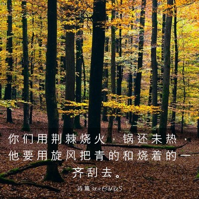 Picture 03 - 诗 篇 58:9 CUVS - 你 们 用 荆 棘 烧 火 ， 锅 还 未 热 - Bible Verse Picture