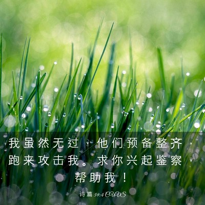 Picture 03 - 诗 篇 59:4 CUVS - 我 虽 然 无 过 ， 他 们 预 备 整 齐 - Bible Verse Picture