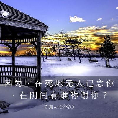 Picture 03 - 诗 篇 6:5 CUVS - 因 为 ， 在 死 地 无 人 记 念 你 ， - Bible Verse Picture