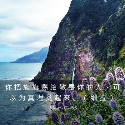 Picture 03 - 诗 篇 60:4 CUVS - 你 把 旌 旗 赐 给 敬 畏 你 的 人 ， - Bible Verse Picture