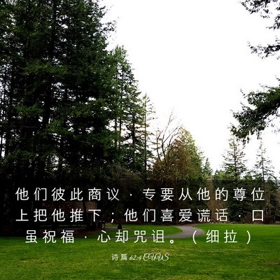 Picture 03 - 诗 篇 62:4 CUVS - 他 们 彼 此 商 议 ， 专 要 从 他 的 - Bible Verse Picture