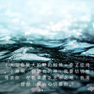 Picture 03 - 诗 篇 63:1 CUVS - （ 大 卫 在 犹 大 旷 野 的 时 候 ， - Bible Verse Picture