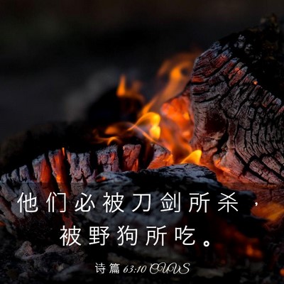 Picture 03 - 诗 篇 63:10 CUVS - 他 们 必 被 刀 剑 所 杀 ， 被 野 狗 - Bible Verse Picture