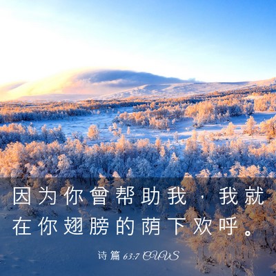 Picture 03 - 诗 篇 63:7 CUVS - 因 为 你 曾 帮 助 我 ， 我 就 在 你 - Bible Verse Picture