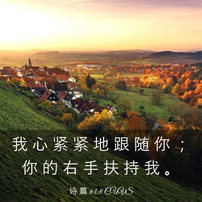 Picture 03 - 诗 篇 63:8 CUVS - 我 心 紧 紧 地 跟 随 你 ； 你 的 右 - Bible Verse Picture
