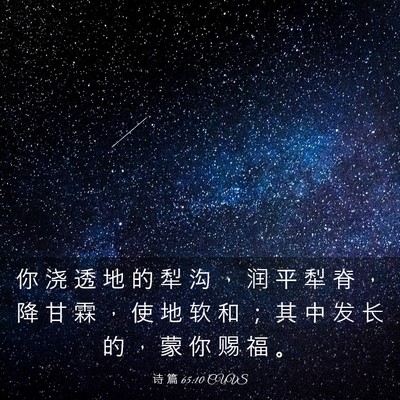 Picture 03 - 诗 篇 65:10 CUVS - 你 浇 透 地 的 犁 沟 ， 润 平 犁 脊 - Bible Verse Picture