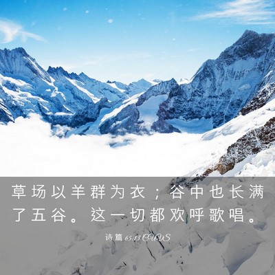 Picture 03 - 诗 篇 65:13 CUVS - 草 场 以 羊 群 为 衣 ； 谷 中 也 长 - Bible Verse Picture