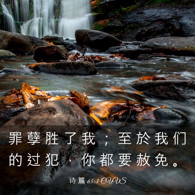 Picture 03 - 诗 篇 65:3 CUVS - 罪 孽 胜 了 我 ； 至 於 我 们 的 过 - Bible Verse Picture